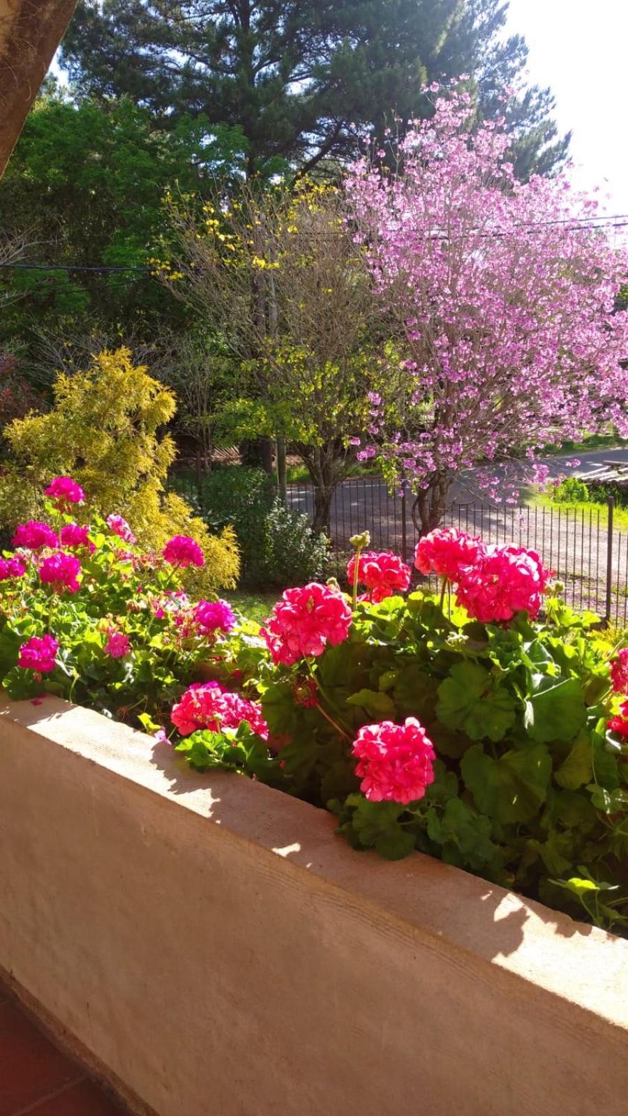 La Casona Del Lago Balneario Ipora Экстерьер фото